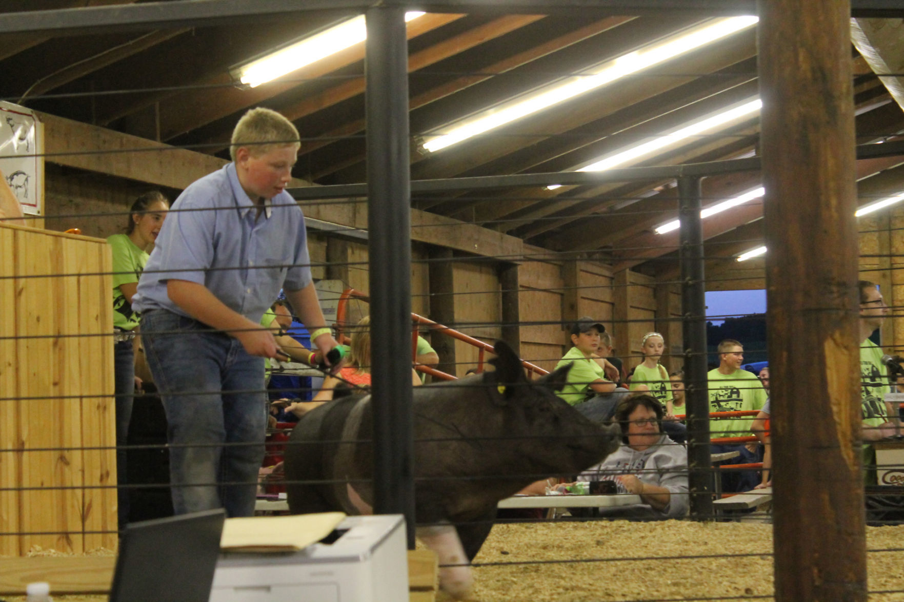 Hog is auctioned off